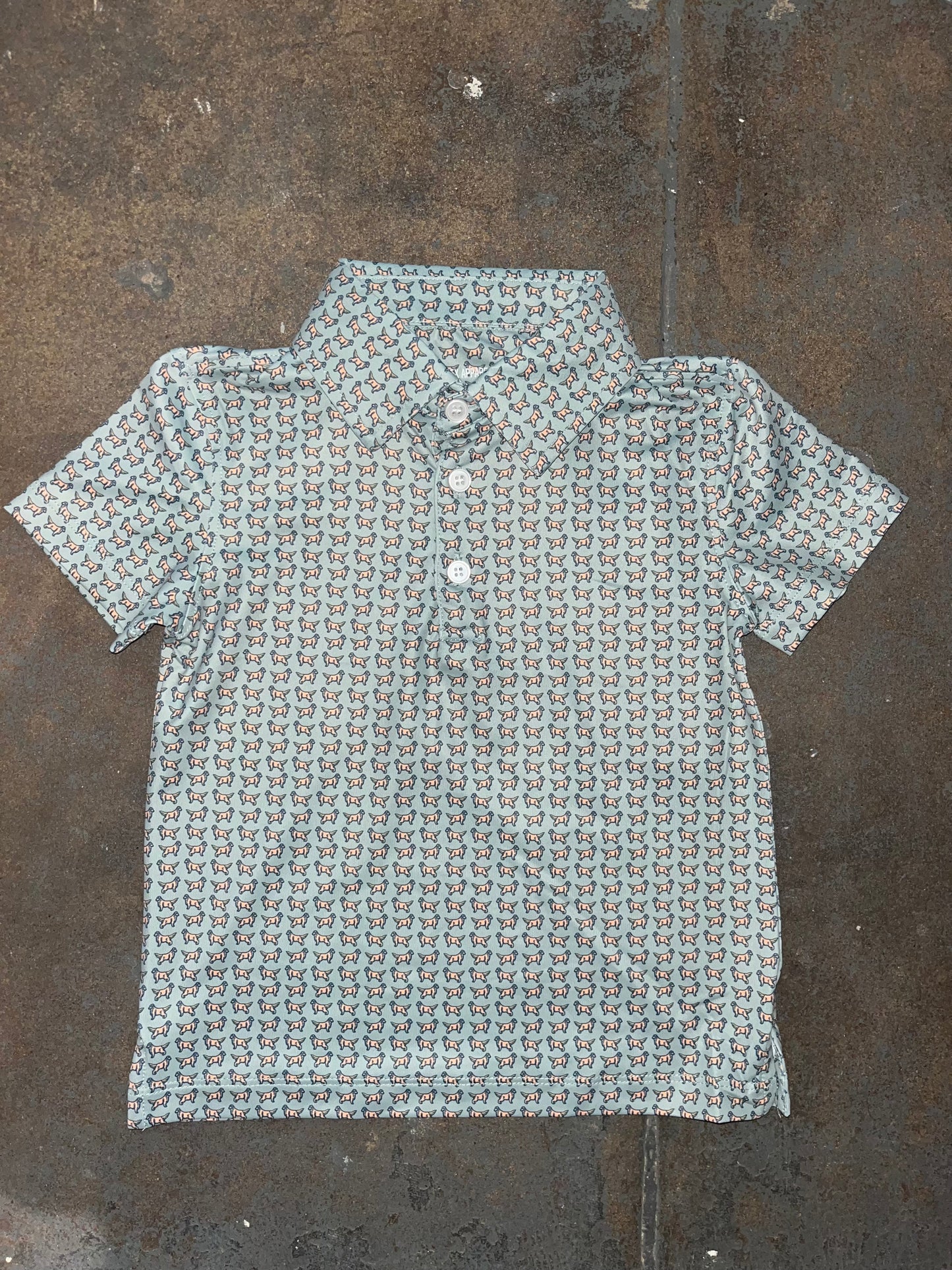 Golden Retriever Polo