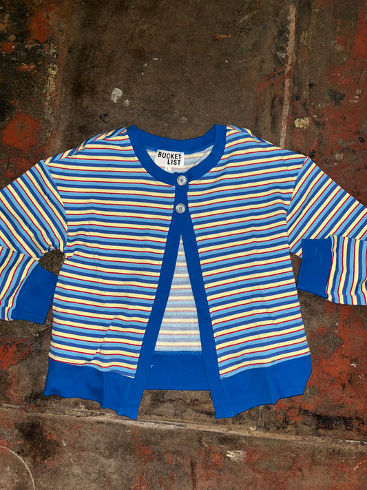 Multi-Stripe Button Knit Cardigan